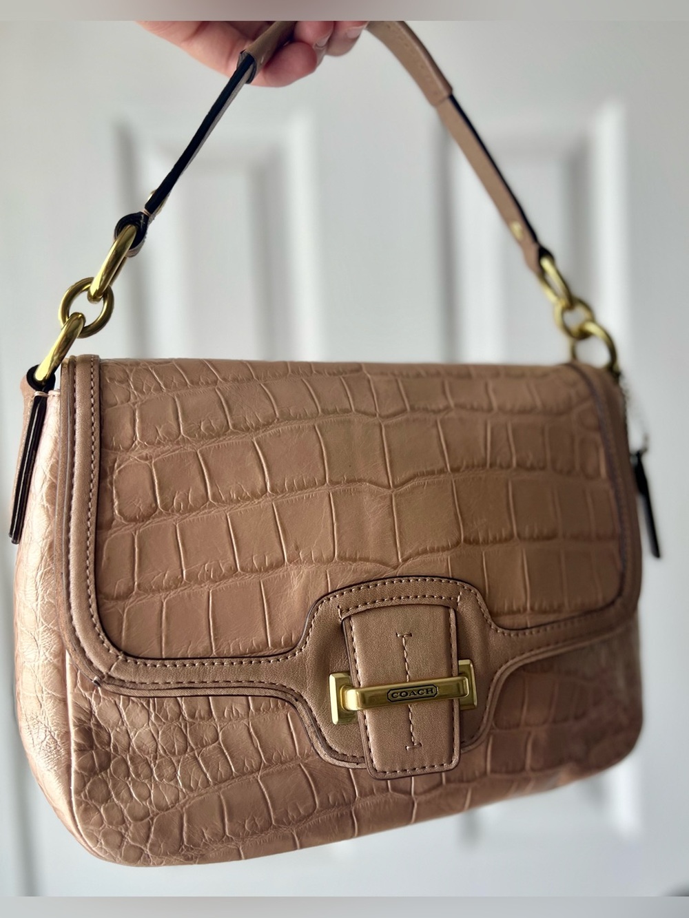 Coach Taylor Embossed Leather Bag in Sand Taupe